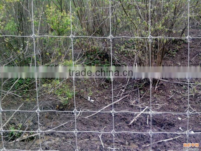 Anping county iron prairie fence(manufacturing)