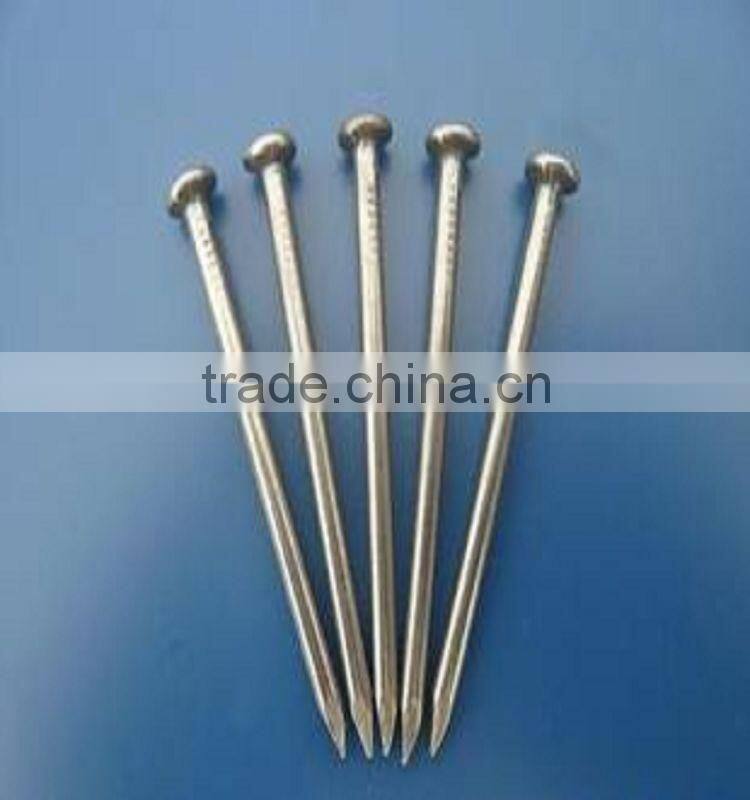 bright common nails,polish common iron nail