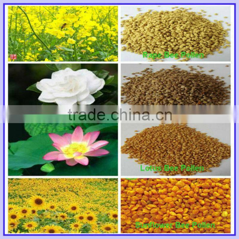 100% Pure Food Grade Flower Pine Pollen Powder