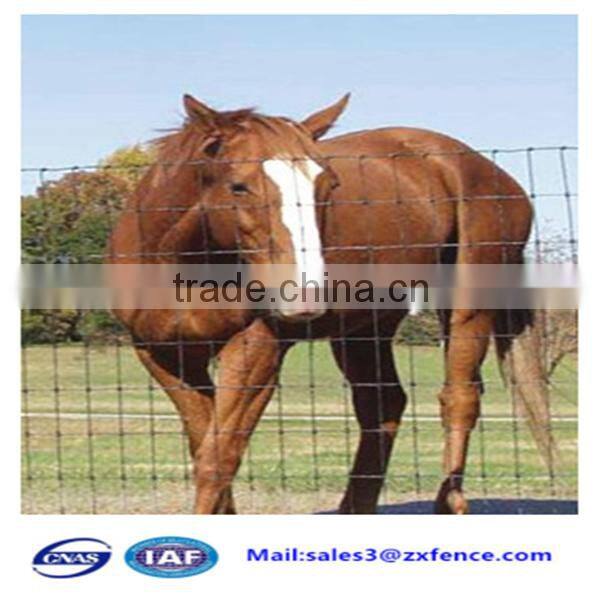 Low price grassland fence,deer fence,cattle fence,sheep fence factory direct