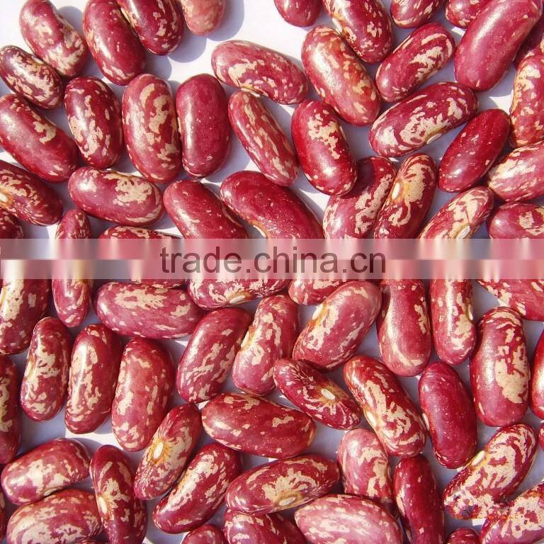 Private Label Organic Hulled Hemp Seed,Hemp Seeds,Shelled Hemp Seeds