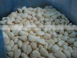 IQF Peeled Garlic