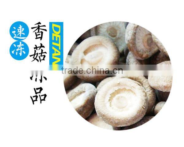 Frozen Shitake Mushroom