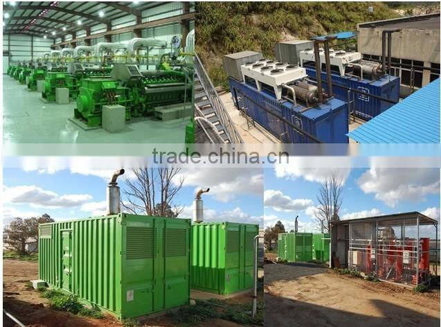 Camda 120KW biogas/natural gas generator with CHP