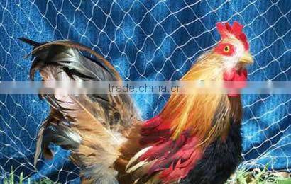Poultry Nets for Farming/breeding net