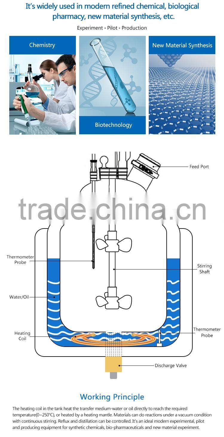 Single Layer Glass Reactor Vessel