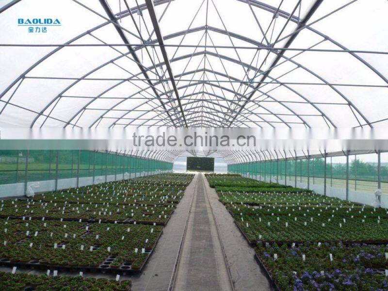 Cheap price single tree greenhouse