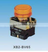 Illuminated flat pushbutton