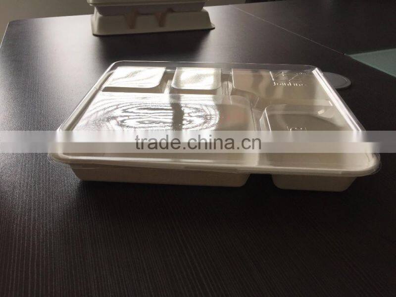 Sugarcane bagasse 5-compartment food container with PET lids