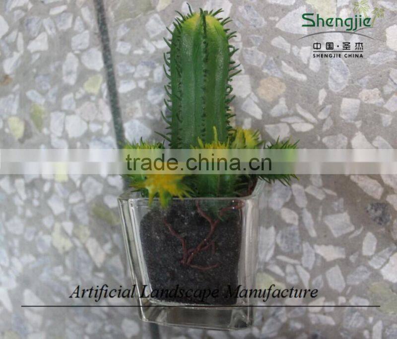 mini succulent plants potted plants for decoration