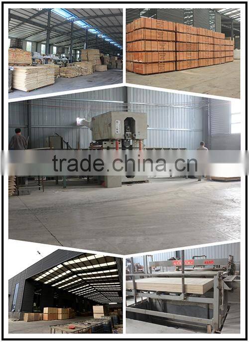 F17 Formply 1200*1800*17mm