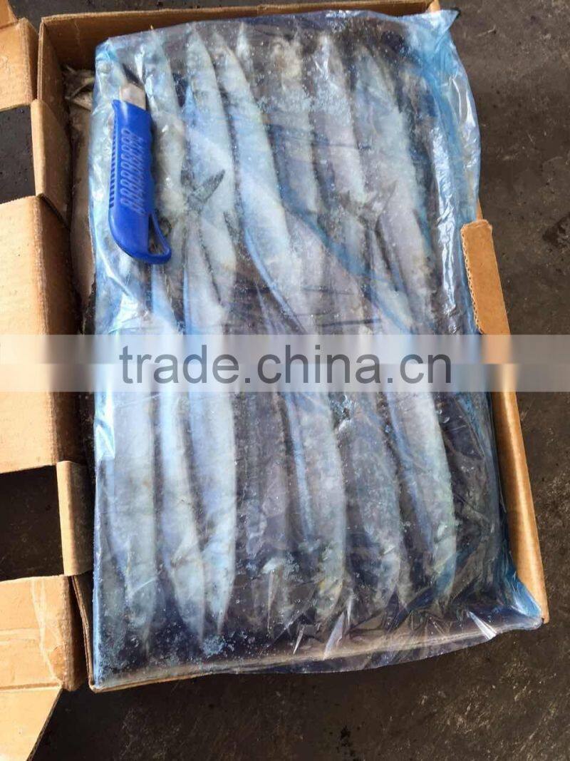 Seafood Frozen Fish Pacific Saury