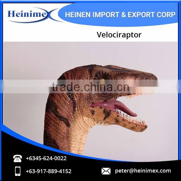 Realistic Dinosaur Velociraptor for Sale