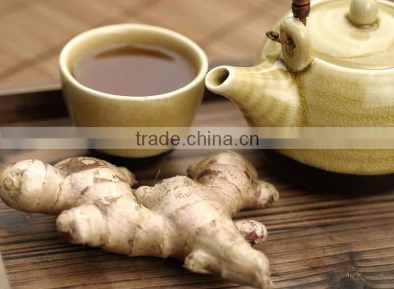 Young Ginger from China