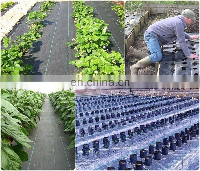 Ground Cover Net Landscape Fabric 12' Wide with holes