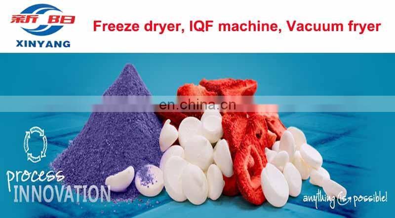 Industrial Vacuum Lyophilized Honey Powder Machine