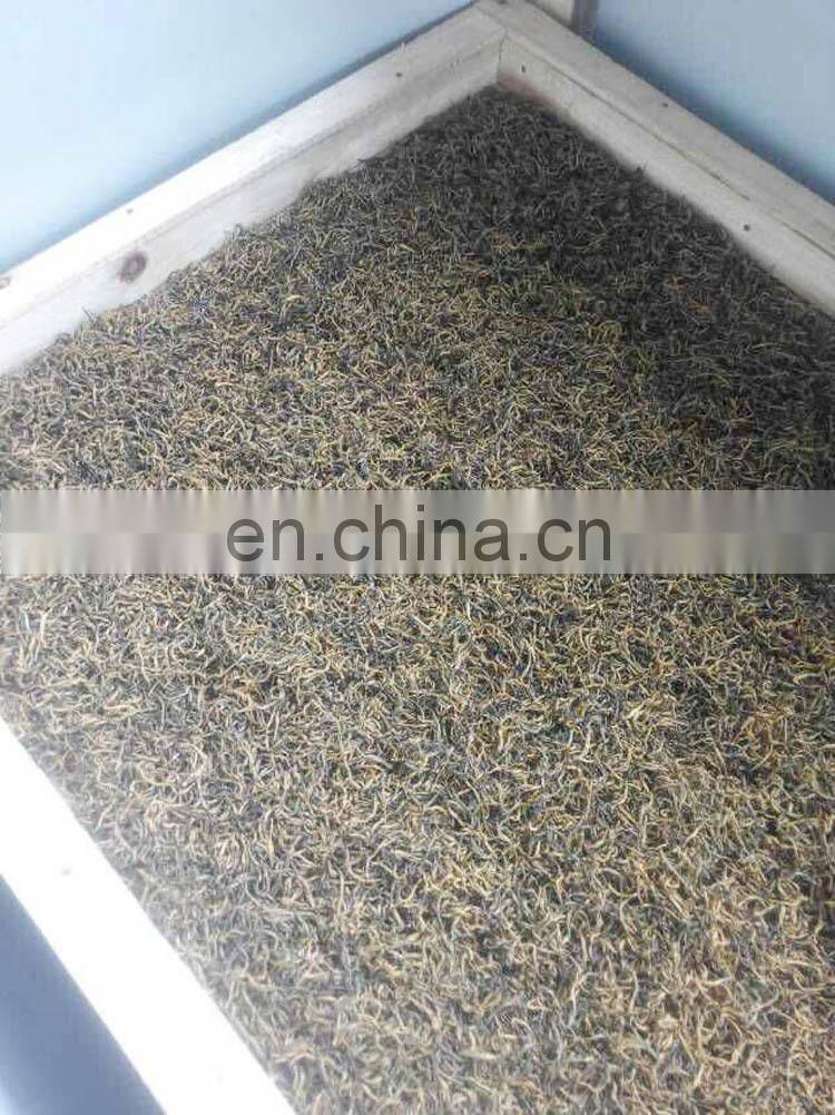 Tea kneading machine/Green tea processing machine /Tea roller machine for sale