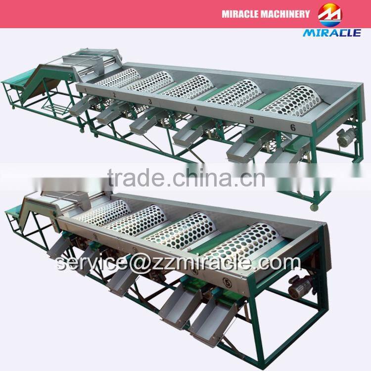 FRESH FRUIT AND VEGETABLE GRADING SORTER MACHINE PRICE