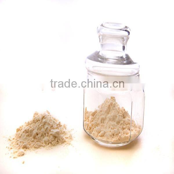 Spray Dried Garlic Powder