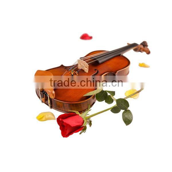 High Quality Stringed Instrument Violin Flamed Matte Violin 4/4 1/8 TL003-1