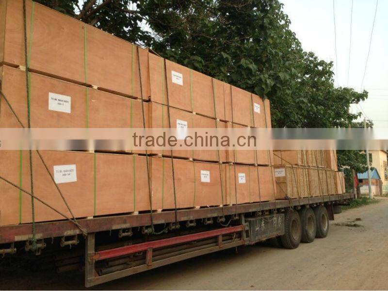 agricultural chaff cutter for animal