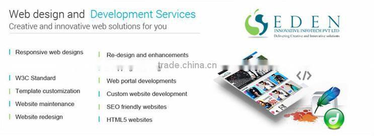 web app development