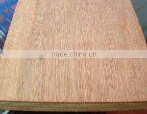 container flooring plywood
