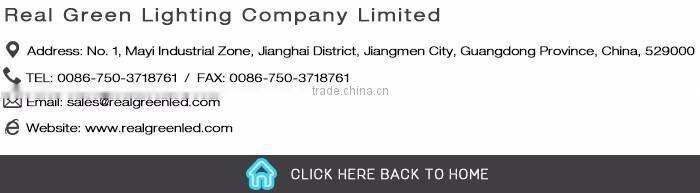 Pure White IP68 Full Waterproof LED Neon Flex Light 24V