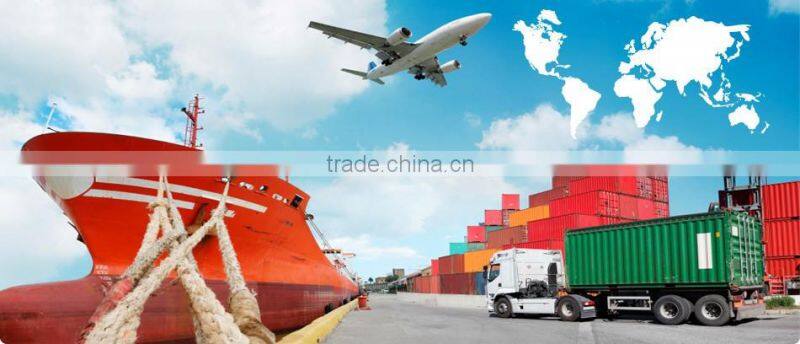 SD900 Wood sawdust machine