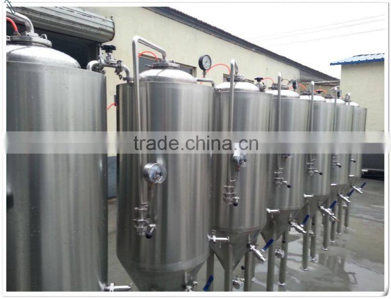 300L professional micro brewery for sale