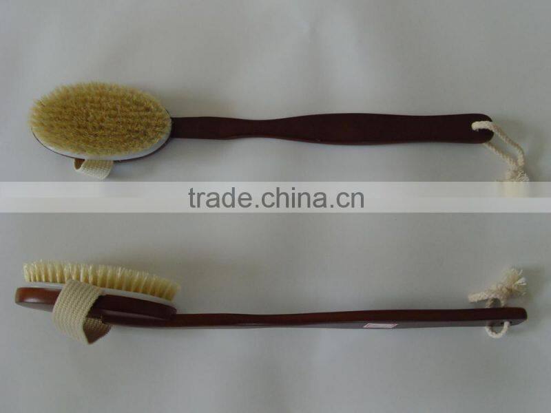 best cleaning body shower brush