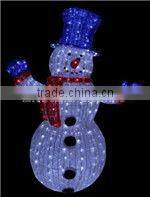 LED Christmas Light