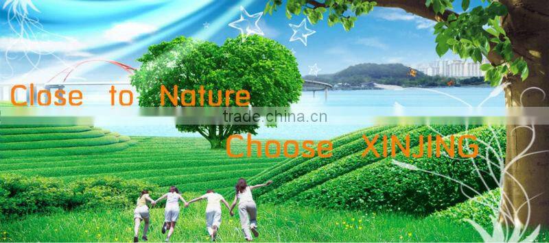 Decorative accoustic metal beautification space ceiling(hot sale)