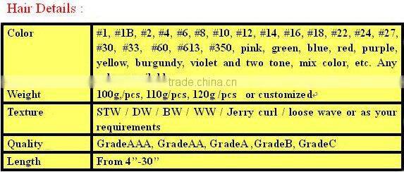 Human Hair Extension - Clips on Hair / Clips in Hair / Wigs