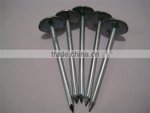 roofing nails galvanized nails for sale