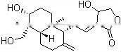 natural Andrographis paniculate extract