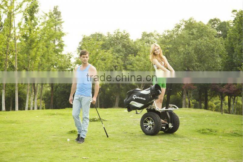 really cheap golf cart for sale,electric golf cart brands,mini gas powered golf cart for sale
