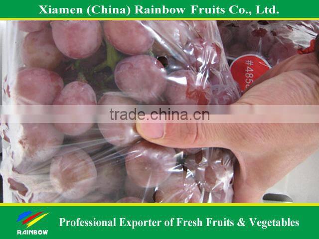 Nasik grapes from Yunnan & Xinjiang area Red globe grape fresh fruit Red grape from China import export companies pune