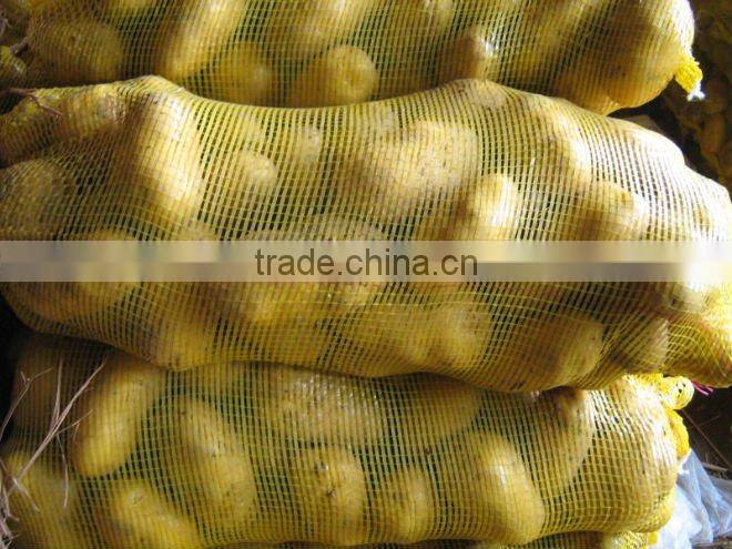 Sell 2013 Fresh Potatoes