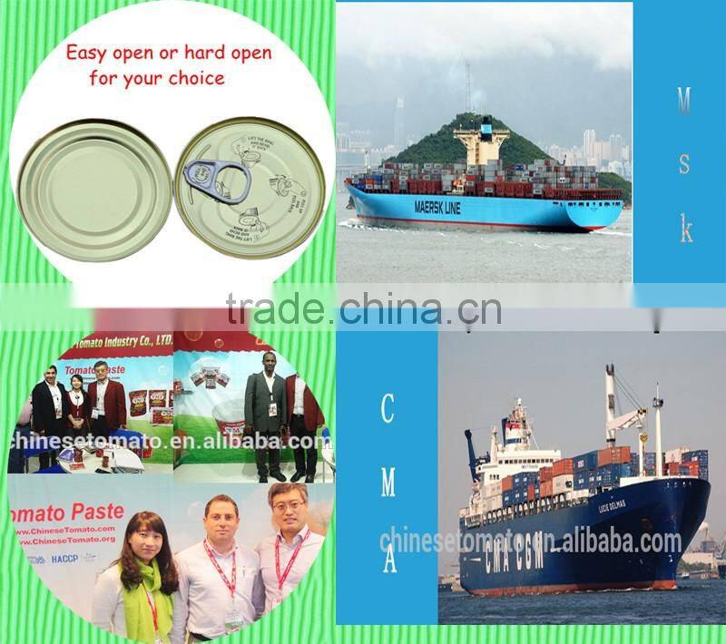 70 g sachet tomato paste in box and in carton