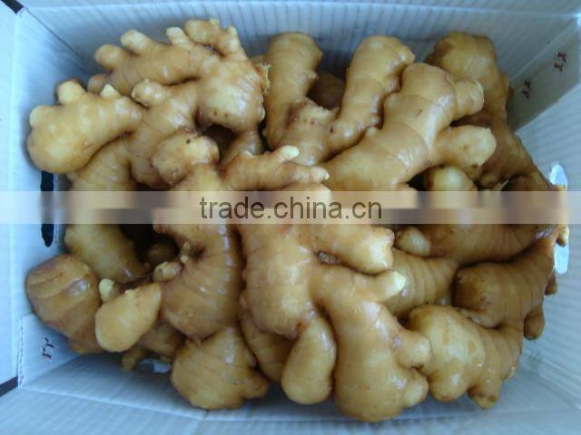 Specification fresh ginger