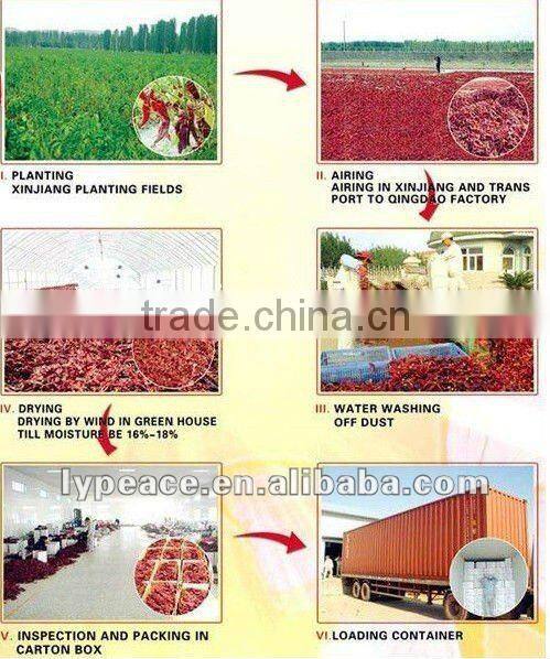 GOOD PRICE spray dried spice powder for 2013