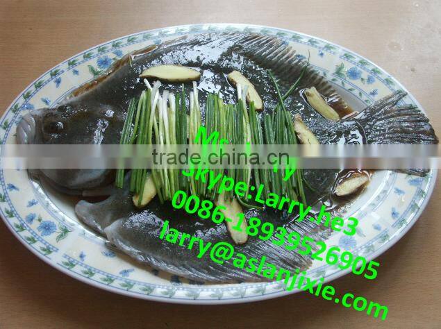 automatic fish scaling machine/fish viscera cleaning machine/fish scaling machine