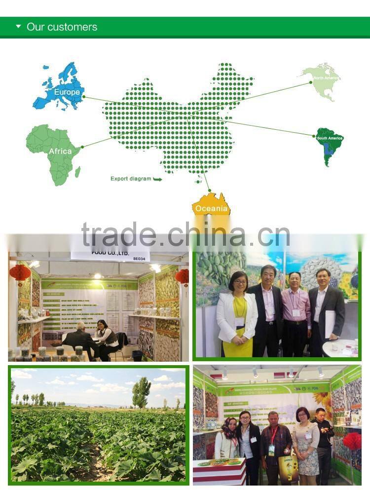Wholesale Chinese organic pumpkin seeds without shell grade AAA