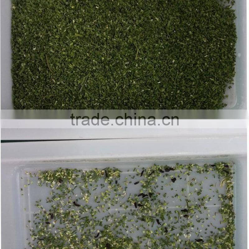 CCD green onion color sorter