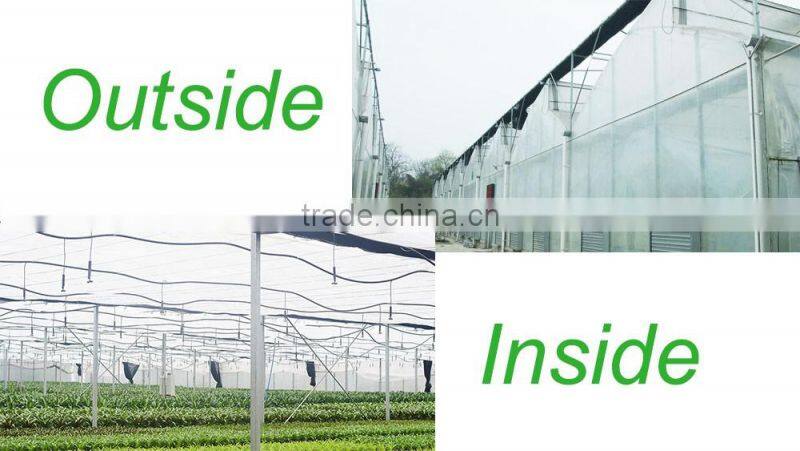 Multi Span Plastic Roofing Sheets Agricultural Commercial Greenhouses for sale