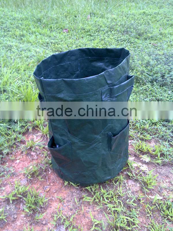 PE Green Herb Grow Bag,Herb Planter With Pockets