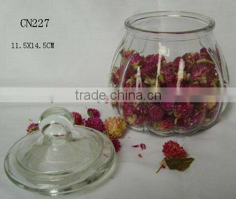 clear cylinder glass bell jar