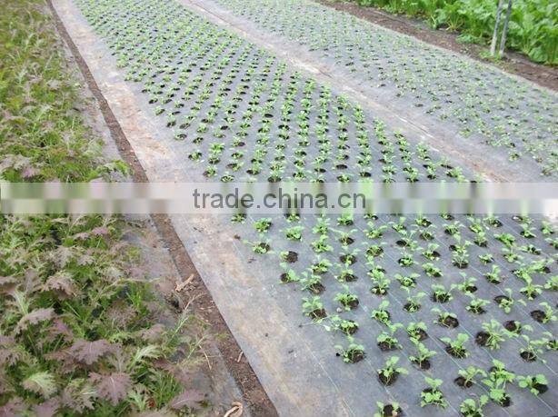 6' x 300' Woven Black Groundcover Fabric