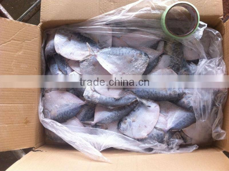 frozen moonfish with cheap price